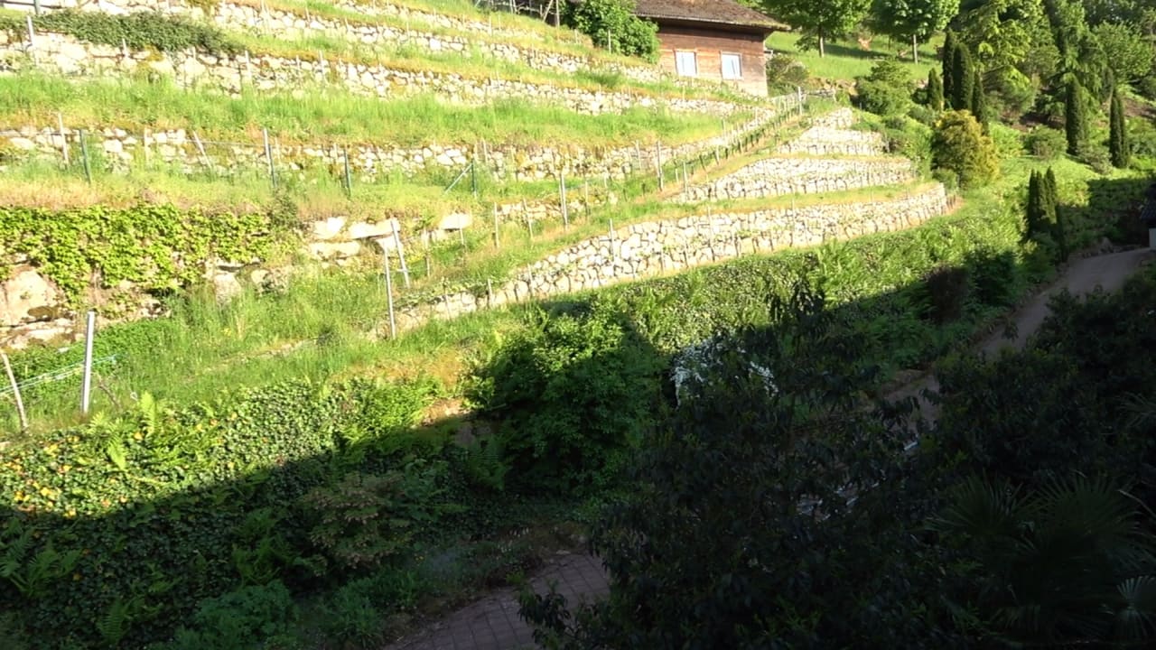 Ausblick Schwarzwald Resort Dollenberg