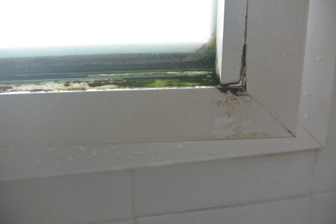 Wilgoć  Sun Club Eldorado