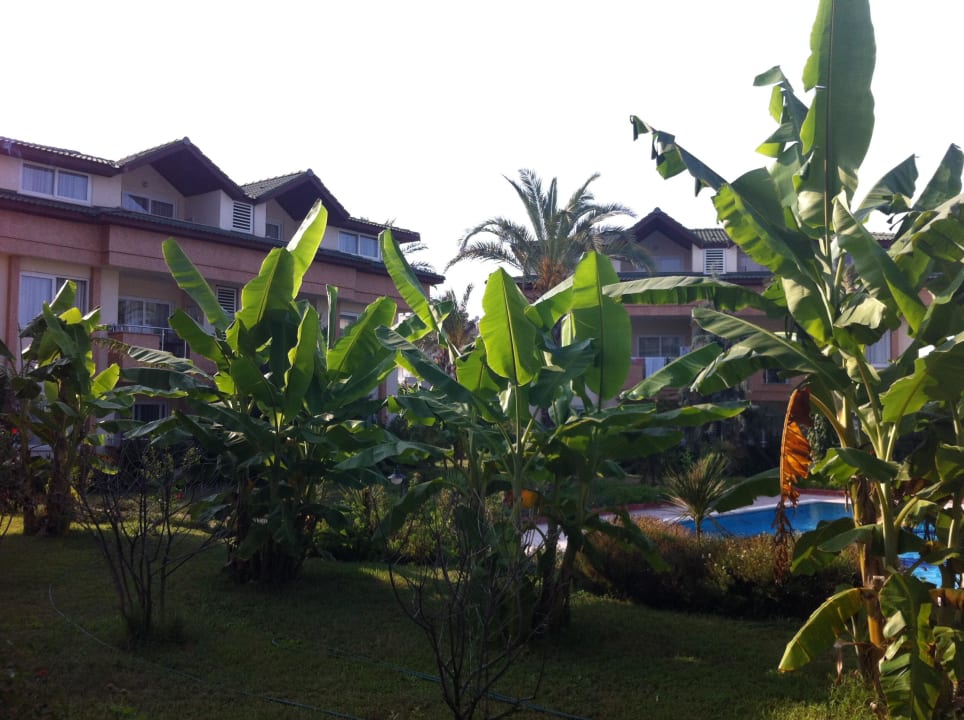 Gartenanlage am Pool Aydinbey Gold Dreams