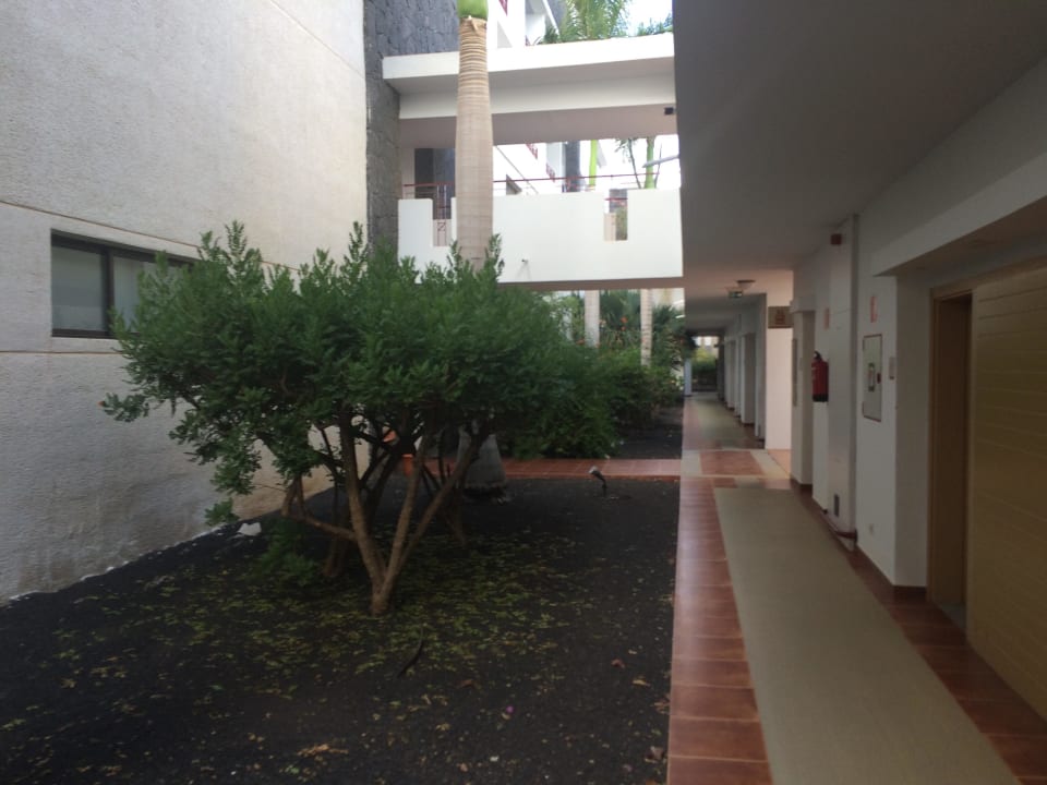 Weg zum Zimmer Hotel Costa Calero