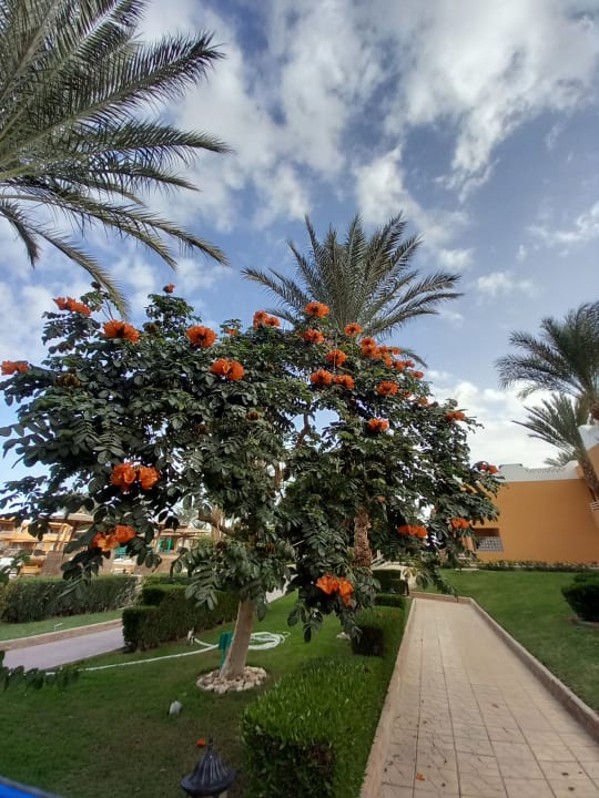 Gartenanlage Golden Beach Resort