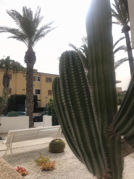 Außenansicht The Sea Hotel by Grupotel - Adults only