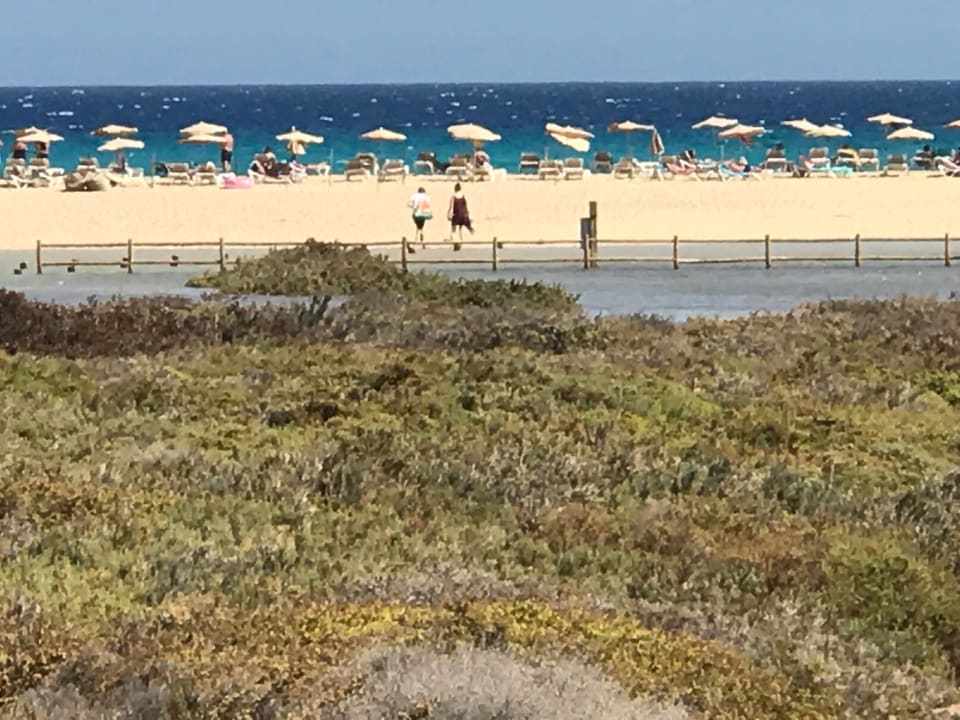 Strand Occidental Jandía Mar