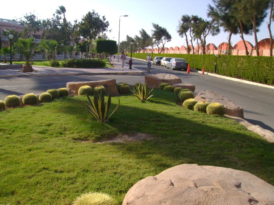 Подъездная дорога Beach Albatros Resort