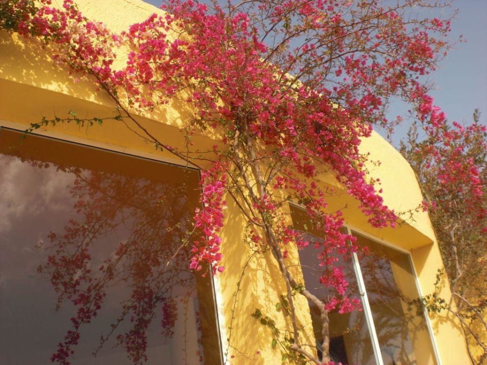 Ein Traum The Ksar Djerba Charming Hotel & SPA