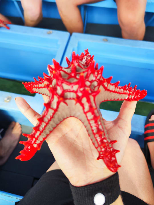 Strand Hotel Southern Palms Beach Resort