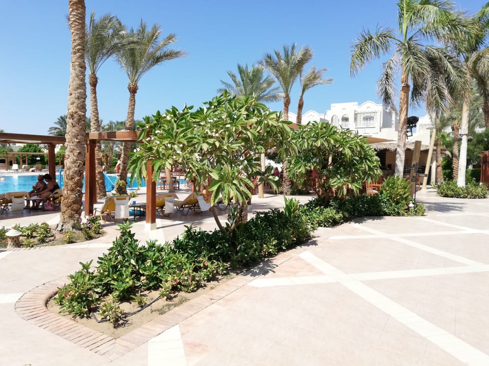 Garten Hotel JAZ Makadi Star & Spa