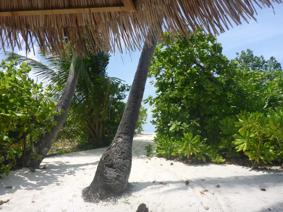 Strand NH Collection Maldives Havodda Resort