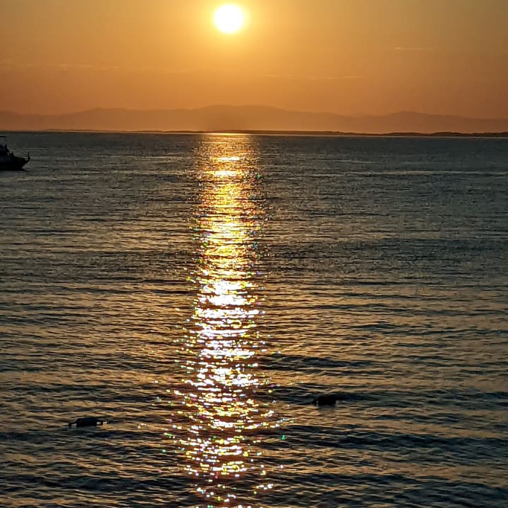Ausblick Arum Barut Collection