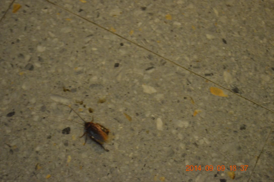 13 Atlantic Mirage Suites & Spa - Adults only