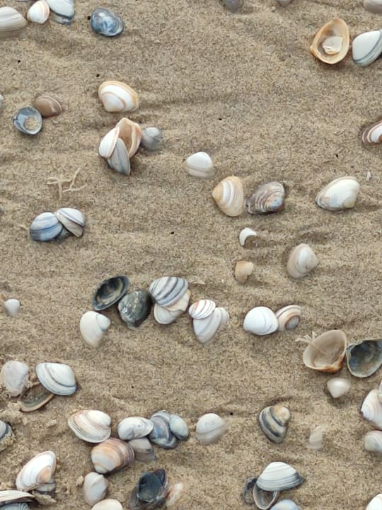 Strand Ferienpark Duinrell