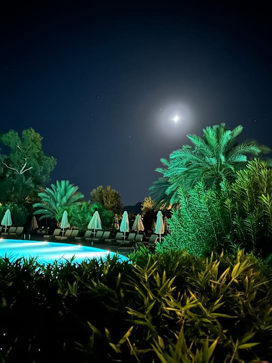 Pool TUI MAGIC LIFE Sarigerme