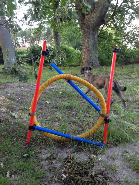 Amy's Wohlfühlvilla Amy's Wohlfühlvilla