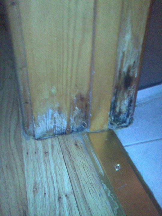 Schimmel The Oasis Hotel