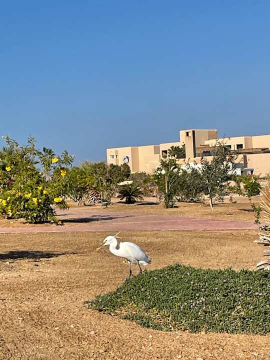 Außenansicht The Breakers Diving & Surfing Lodge