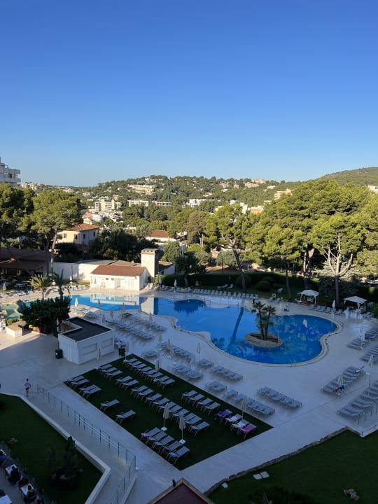 Pool BQ Belvedere Hotel