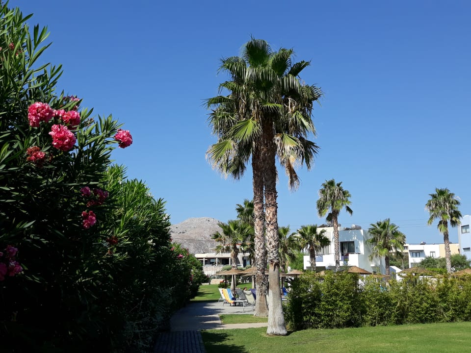 Garten Atlantica Mikri Poli Rhodes