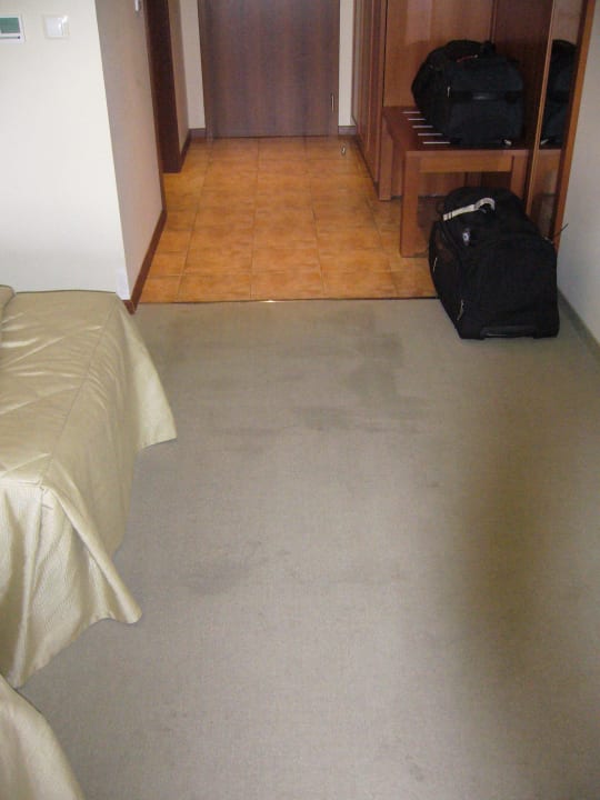 Zimmerteppich auf 2211 Sol Luna Bay