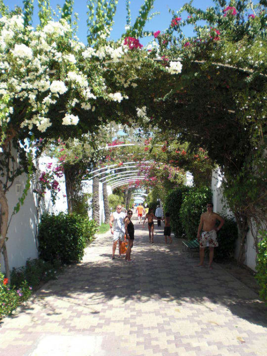 Weg zum Strand El Mouradi Club Kantaoui