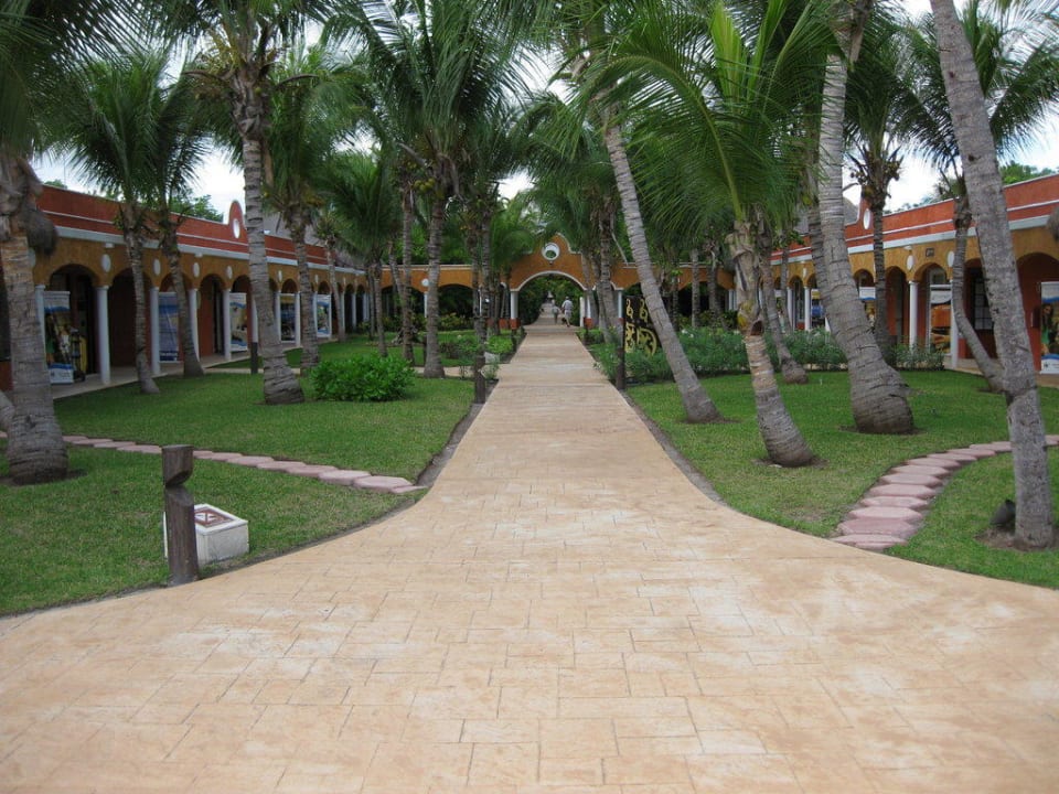 Vom Strand Richtung Lobby Catalonia Playa Maroma