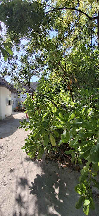 Gartenanlage Thulhagiri Island Resort