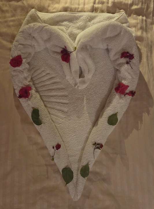 Sonstiges Grand Waterworld Makadi & Family Star Makadi