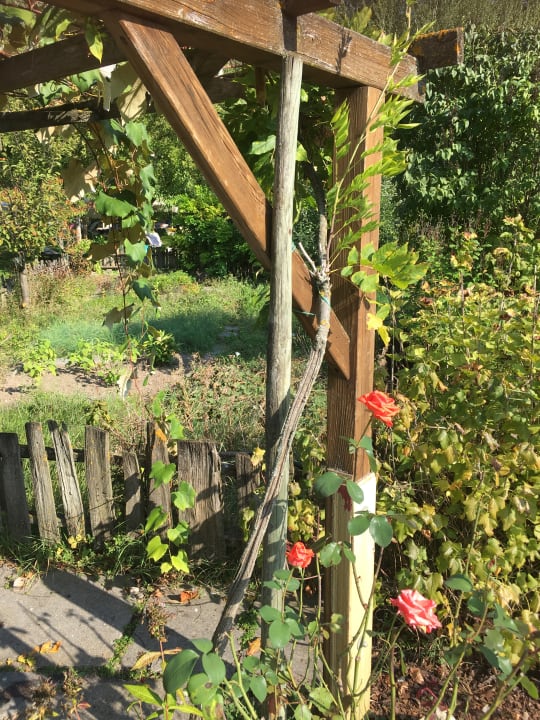 Gartenanlage Gartenhotel Moser