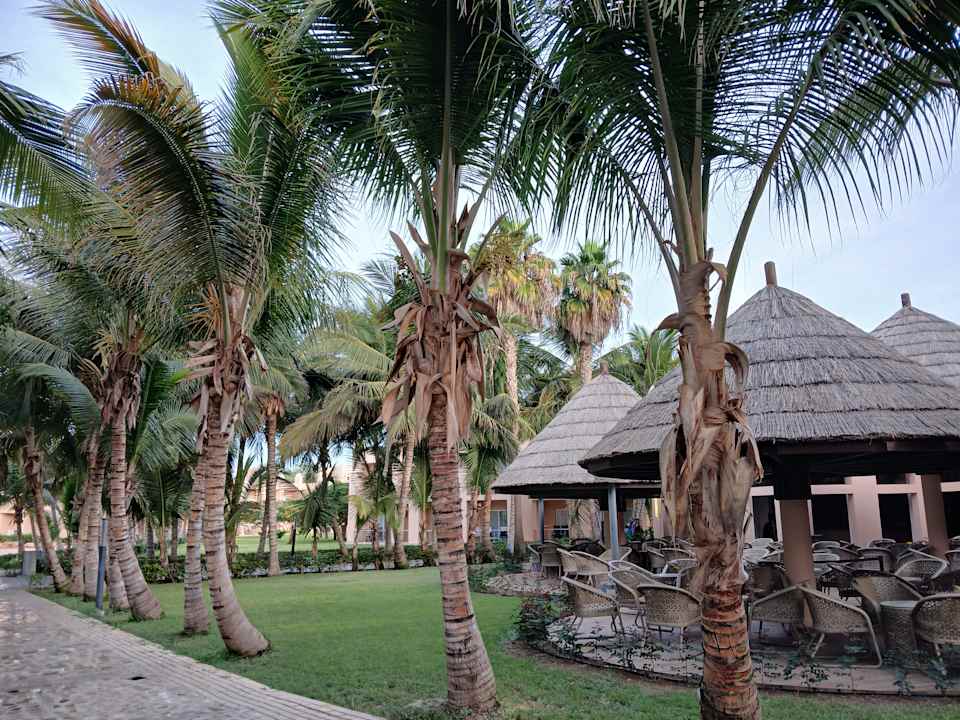 Gartenanlage Hotel Riu Cabo Verde