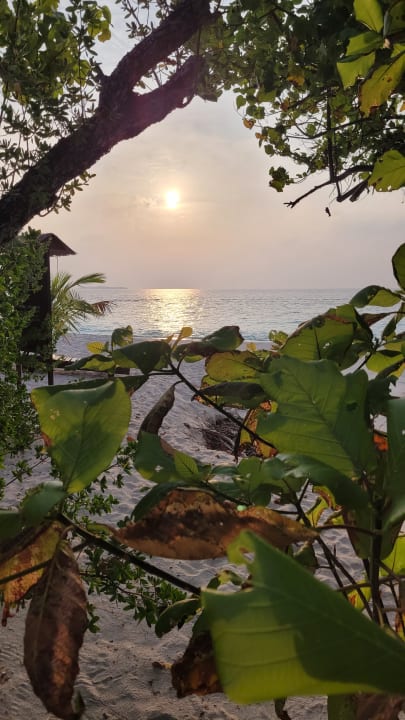 Gartenanlage Adaaran Select Meedhupparu Island Resort - Premium All Inclusive