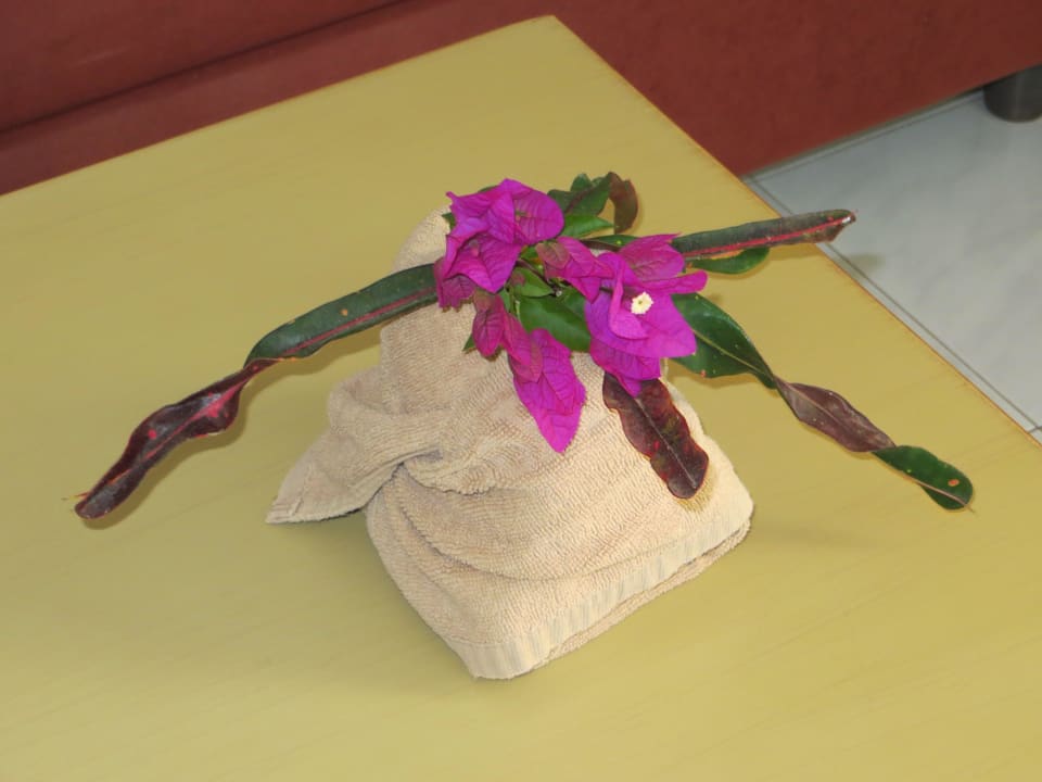 Täglicher Blumengruß SBH Hotel Taro Beach