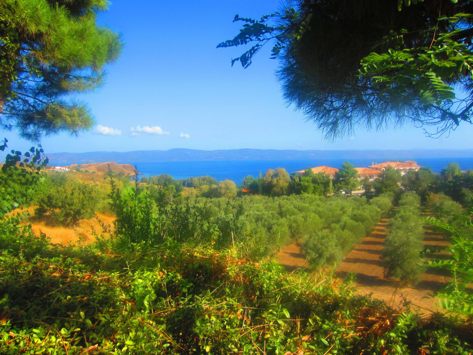 Ein wunderschöner Ausblick Hotel Sunrise Resort