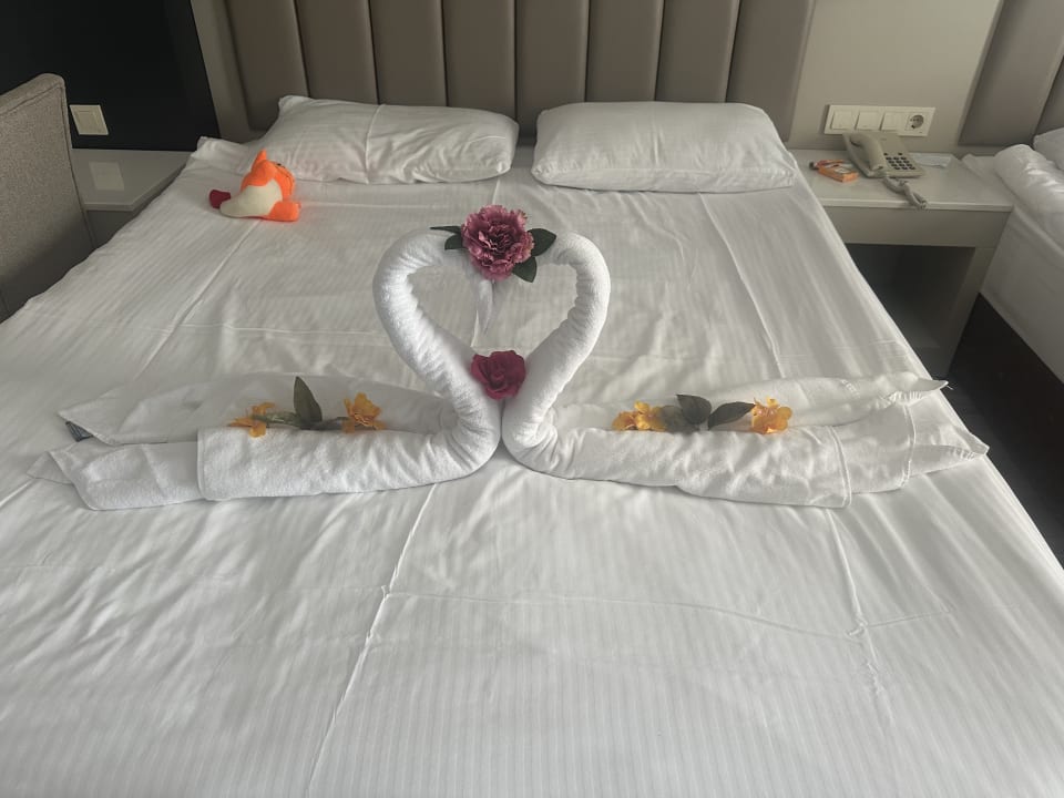 Zimmer Seaden Sea World Resort & Spa