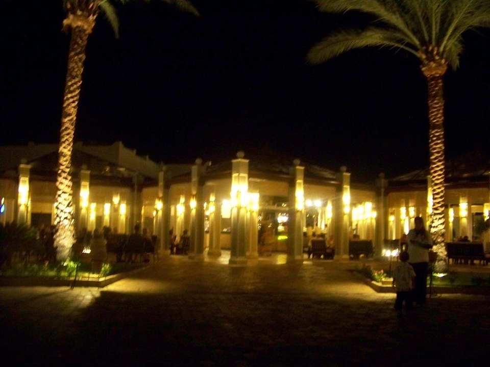 Bar bei Nacht Hotel Reef Oasis Palms