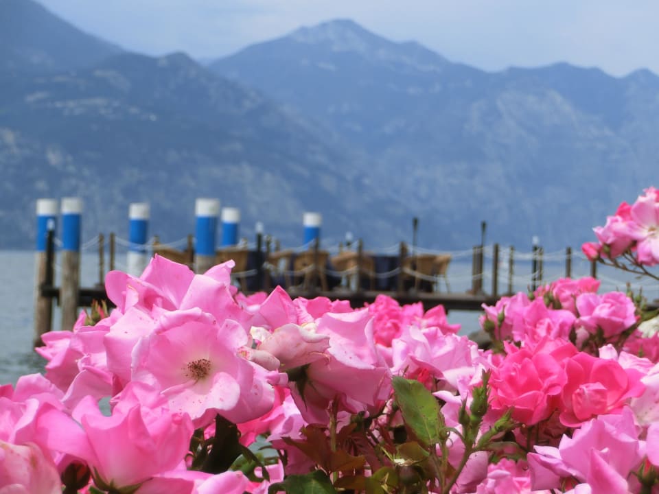 Einfach zum Träumen Belfiore Park Hotel (Adults only +16)