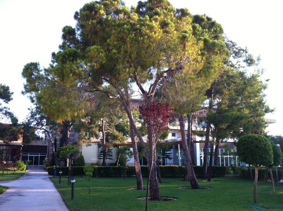 Gartenanlage Marvida Family Eco