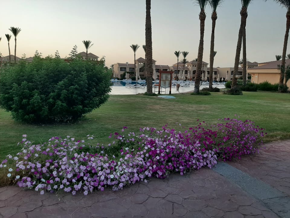 Gartenanlage Cleopatra Luxury Resort Makadi Bay
