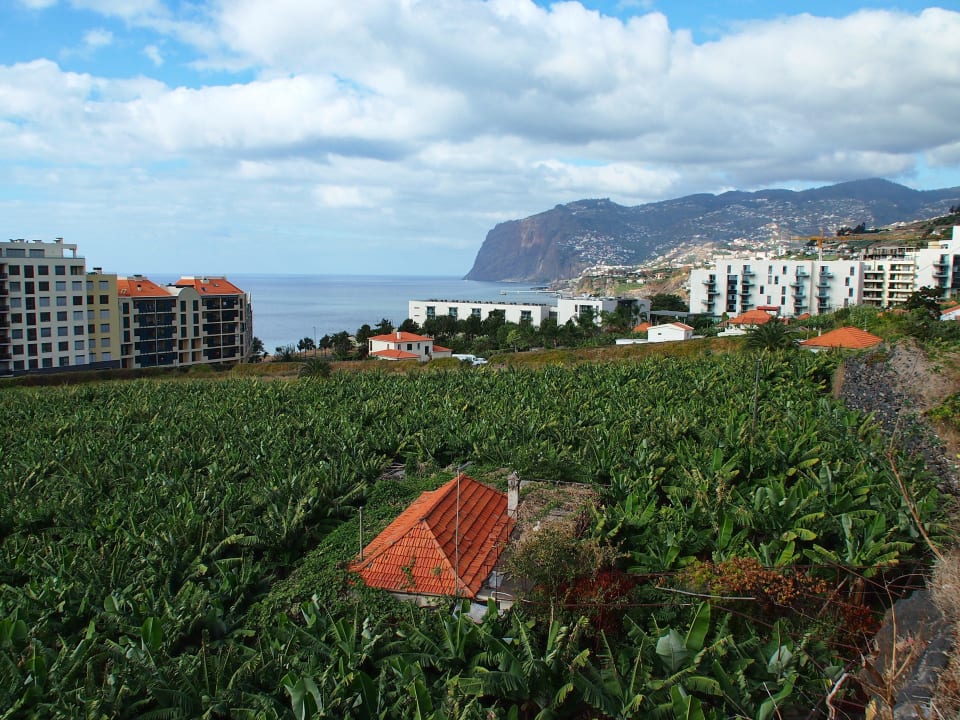 Белые здания на заднем плане - корпуса отеля Hotel Golden Residence