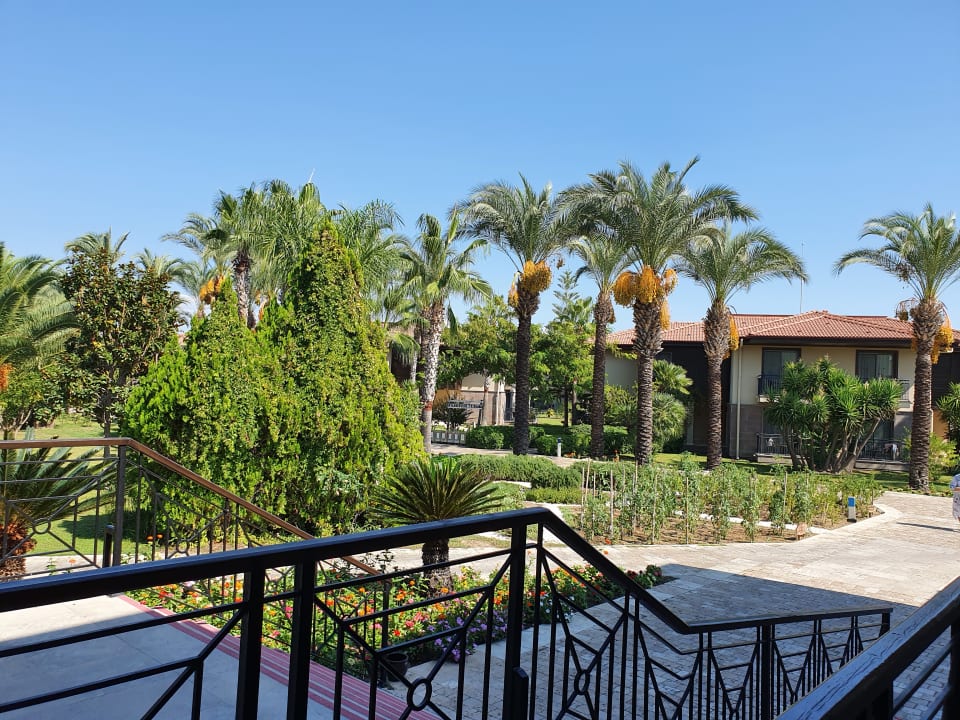 Gastro TUI BLUE Palm Garden