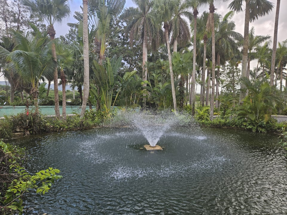 Gartenanlage Couples Negril - Adults only