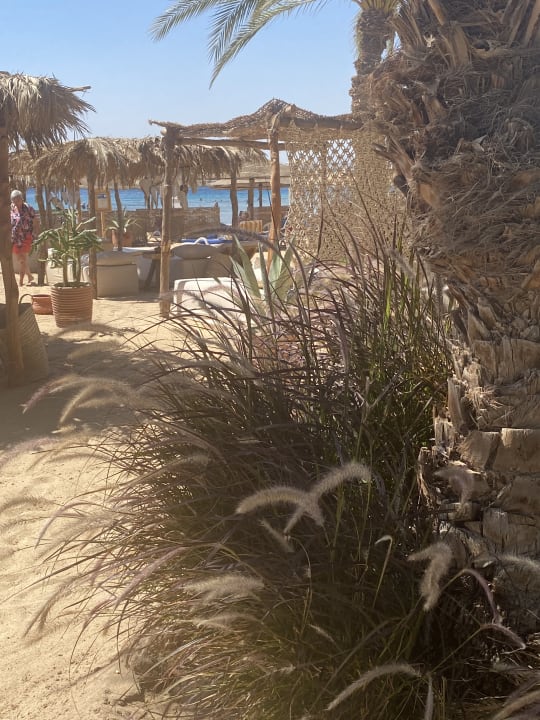 Strand Fort Arabesque Resort, Spa & Villas