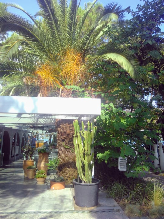 Gartenanlage Ekies All Senses Resort, a Member of Design Hotels