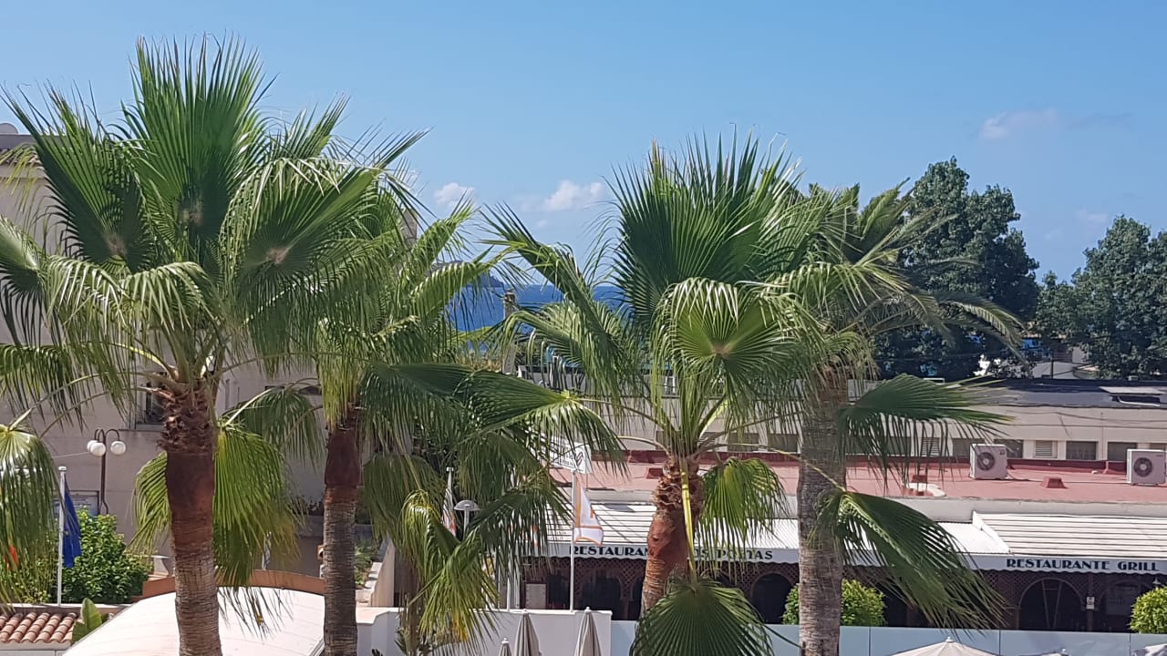 Zimmer HSM Linda Playa