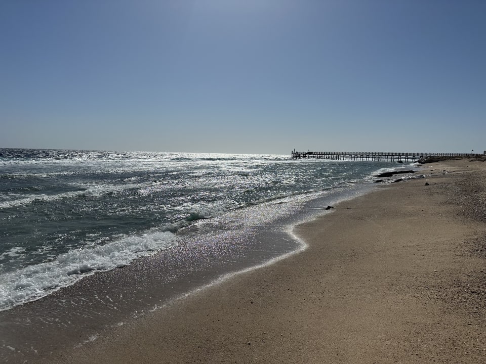 Strand Steigenberger Resort Alaya Marsa Alam - Red Sea - Adults only