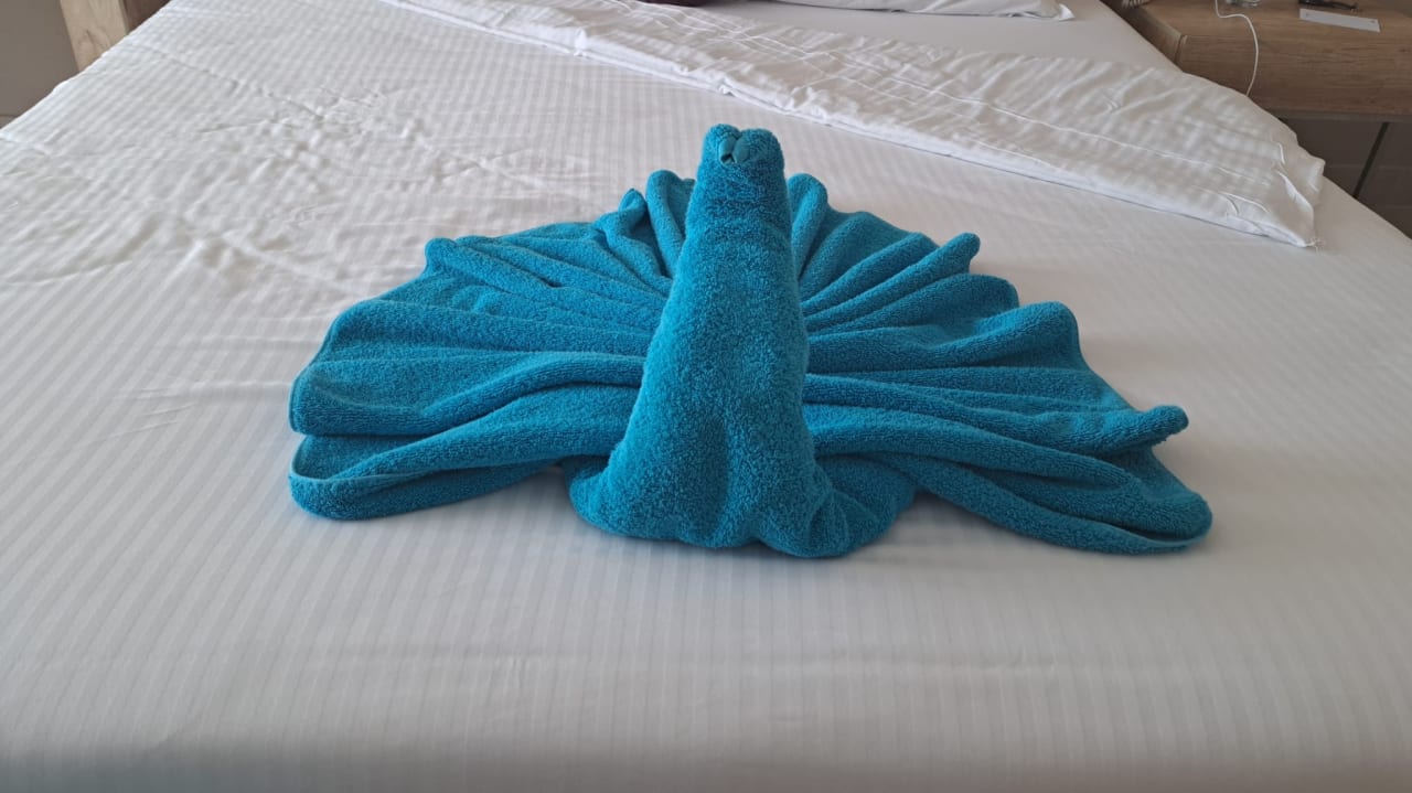 Zimmer Steigenberger Resort Ras Soma