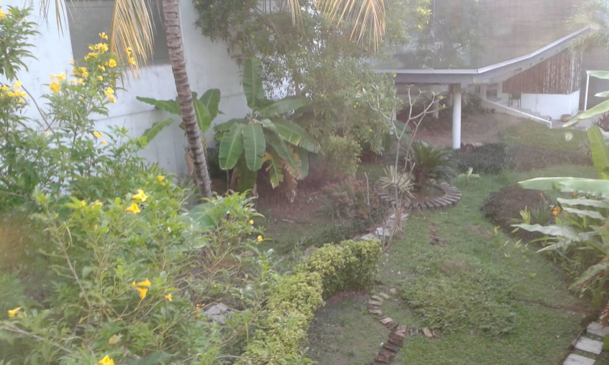 Ogród wewnętrzny Hotel Hilton Villahermosa & Conference Center