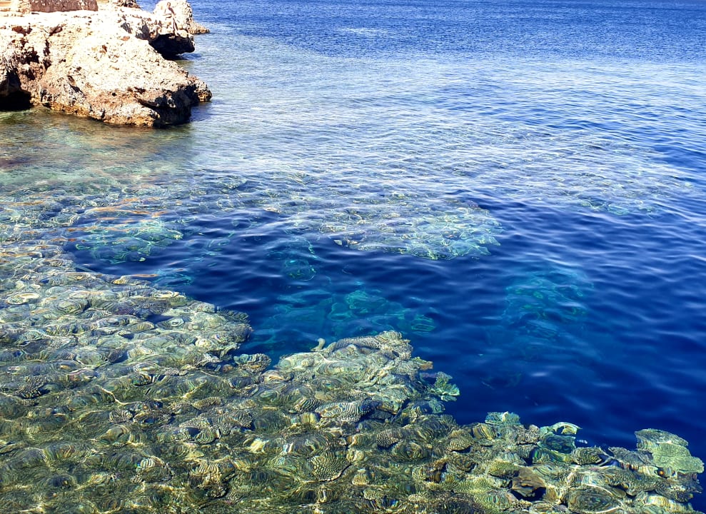 Strand The Grand Hotel Sharm El Sheikh