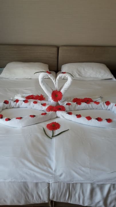 Zimmer Commodore Elite Suites & Spa - Adults only