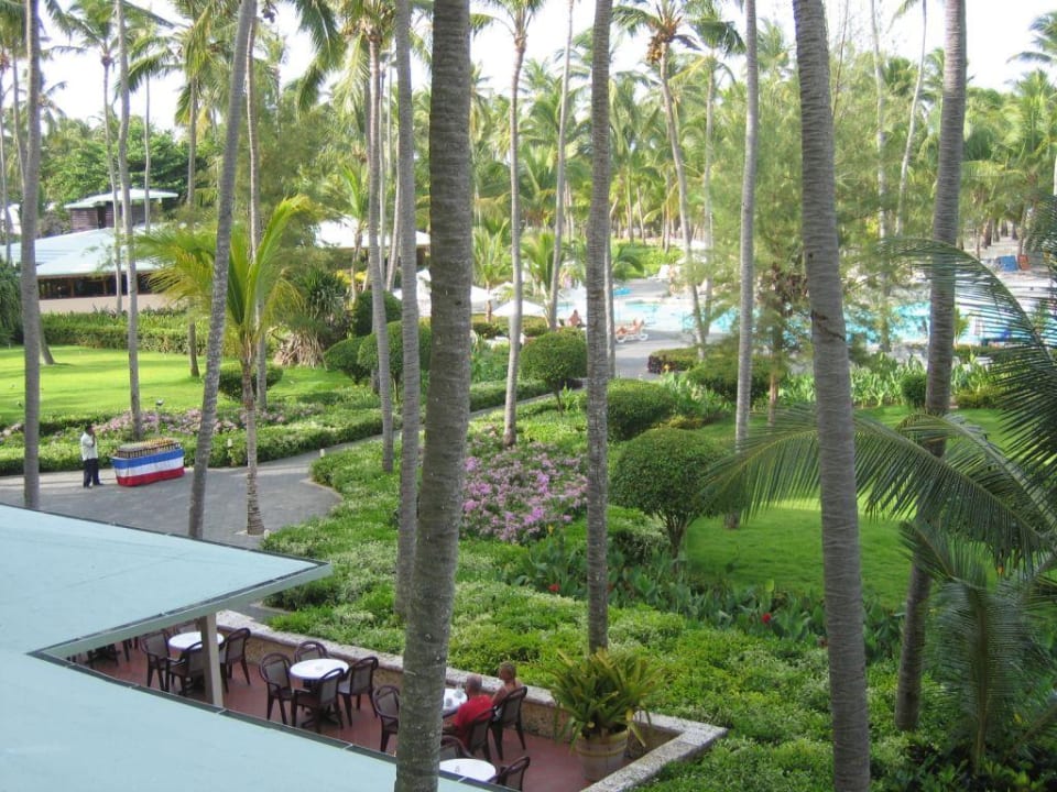 Hotelpool Hotel Riu Palace Macao - Adults only