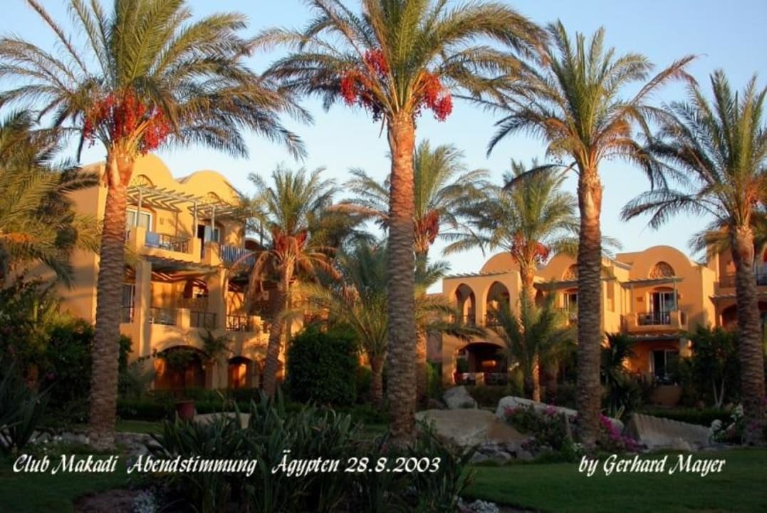 1-2 Fly Club Makadi / Makadi Bay / Ägypten Jaz Makadina