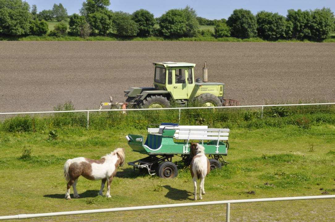 Treckerfahren Ferienhof Meislahn